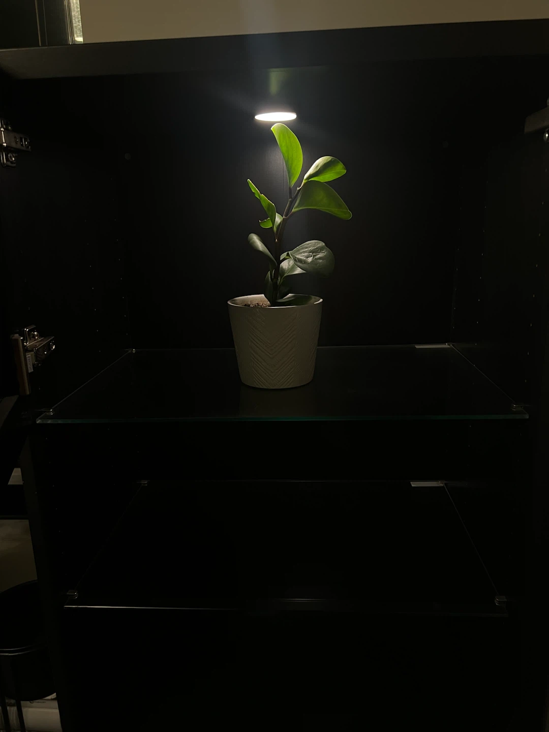 BESTA IKEA: Cabinet with Glass Shelves & LIGHTNING - photo 4