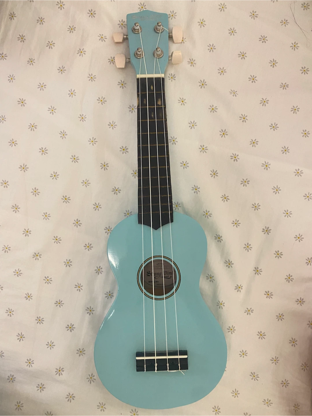 Light blue Ukulele with Case