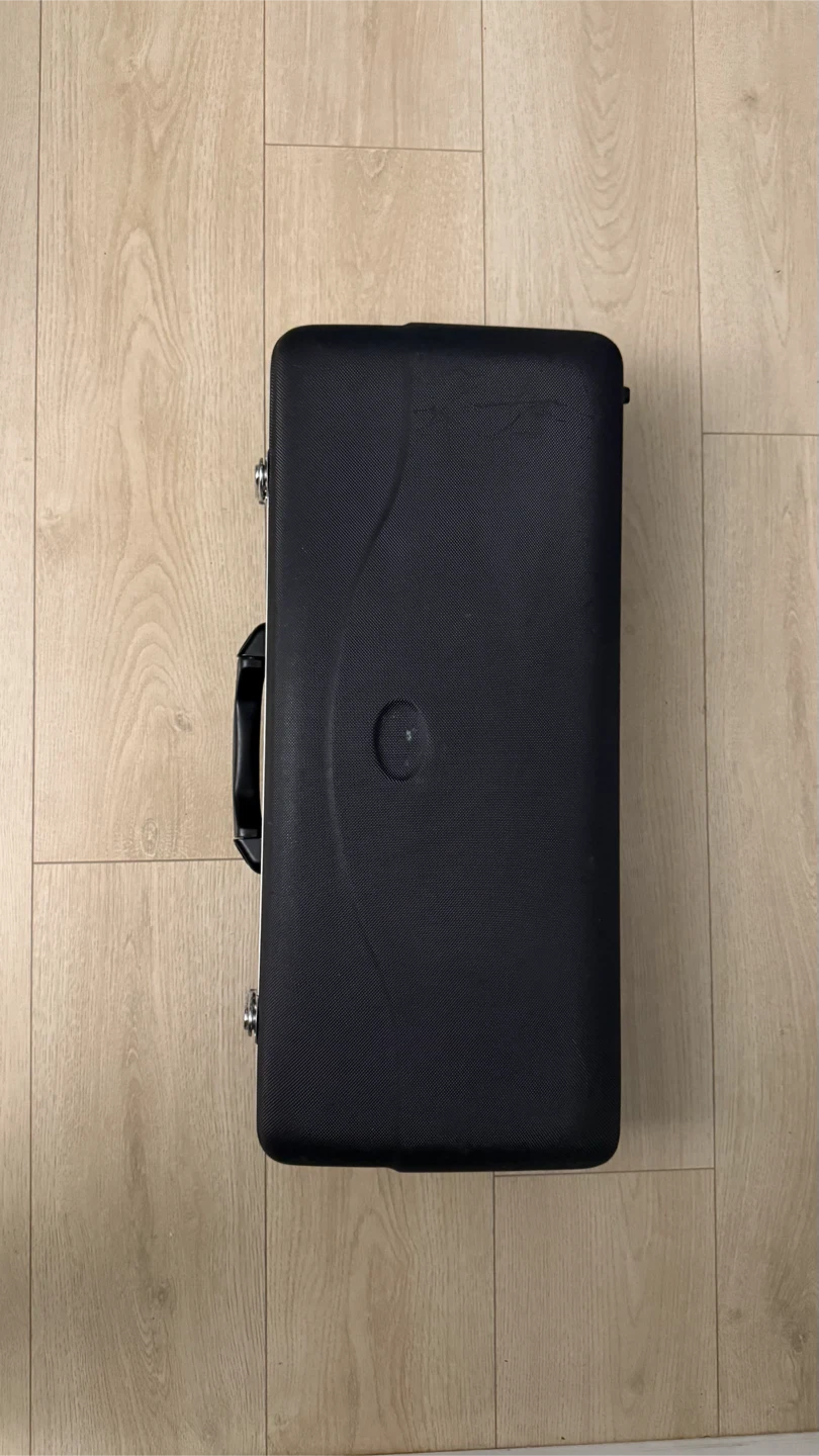 Carlton Alto Saxophone with Case and Accessories - photo 4