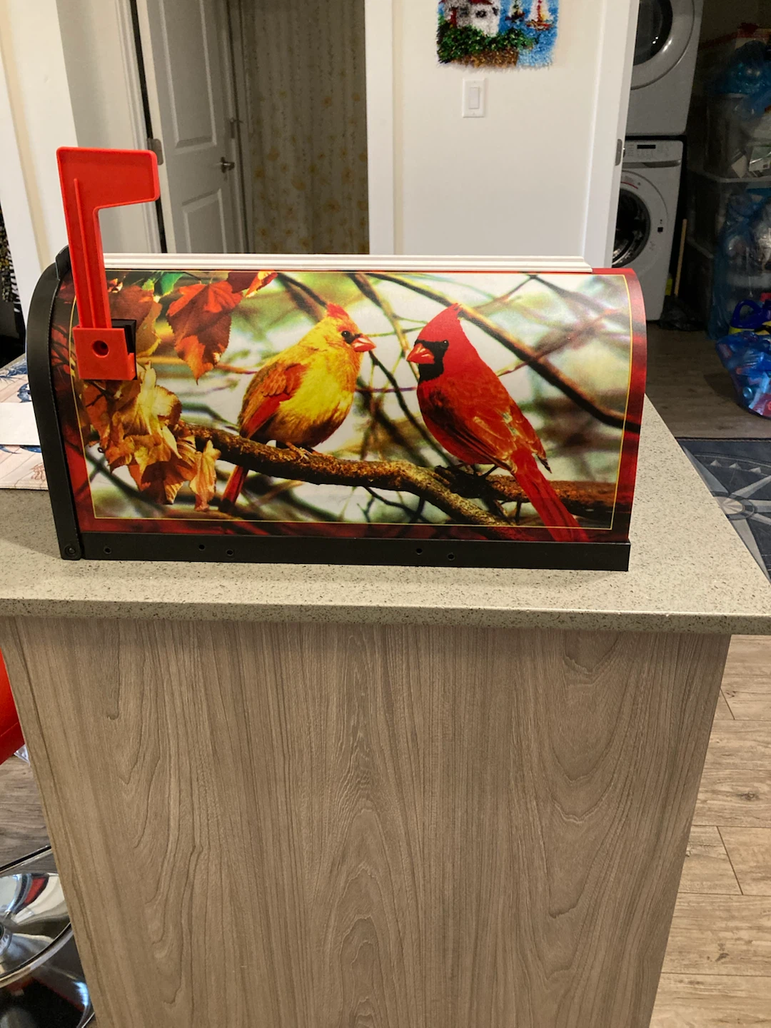 EZ Mail Cardinal Mailbox - photo 2