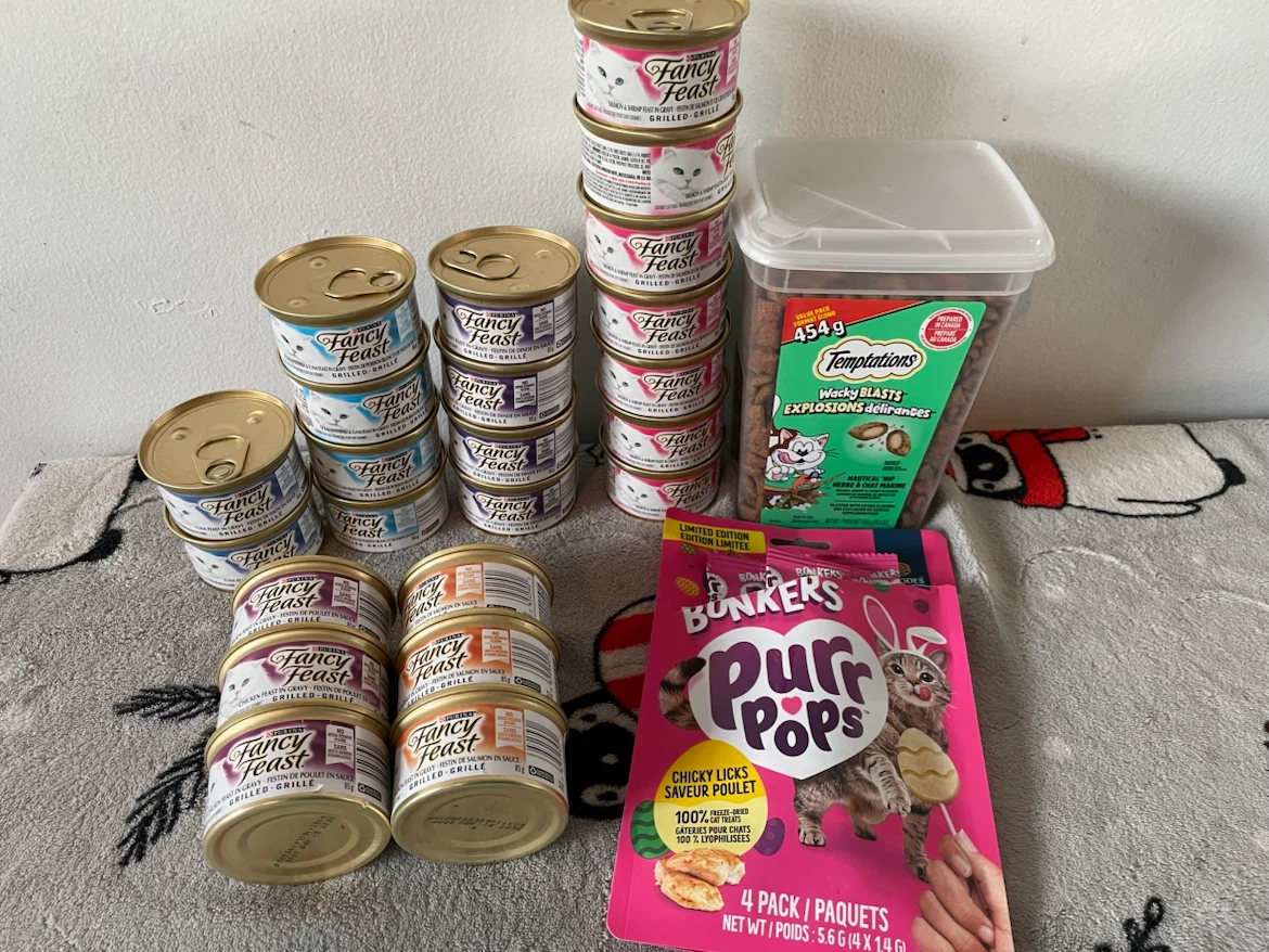Wet Cat Food & Treats Lot