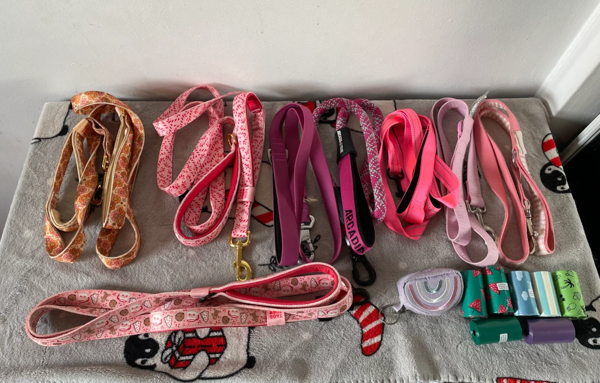 L/XL Dog Leashes Lot