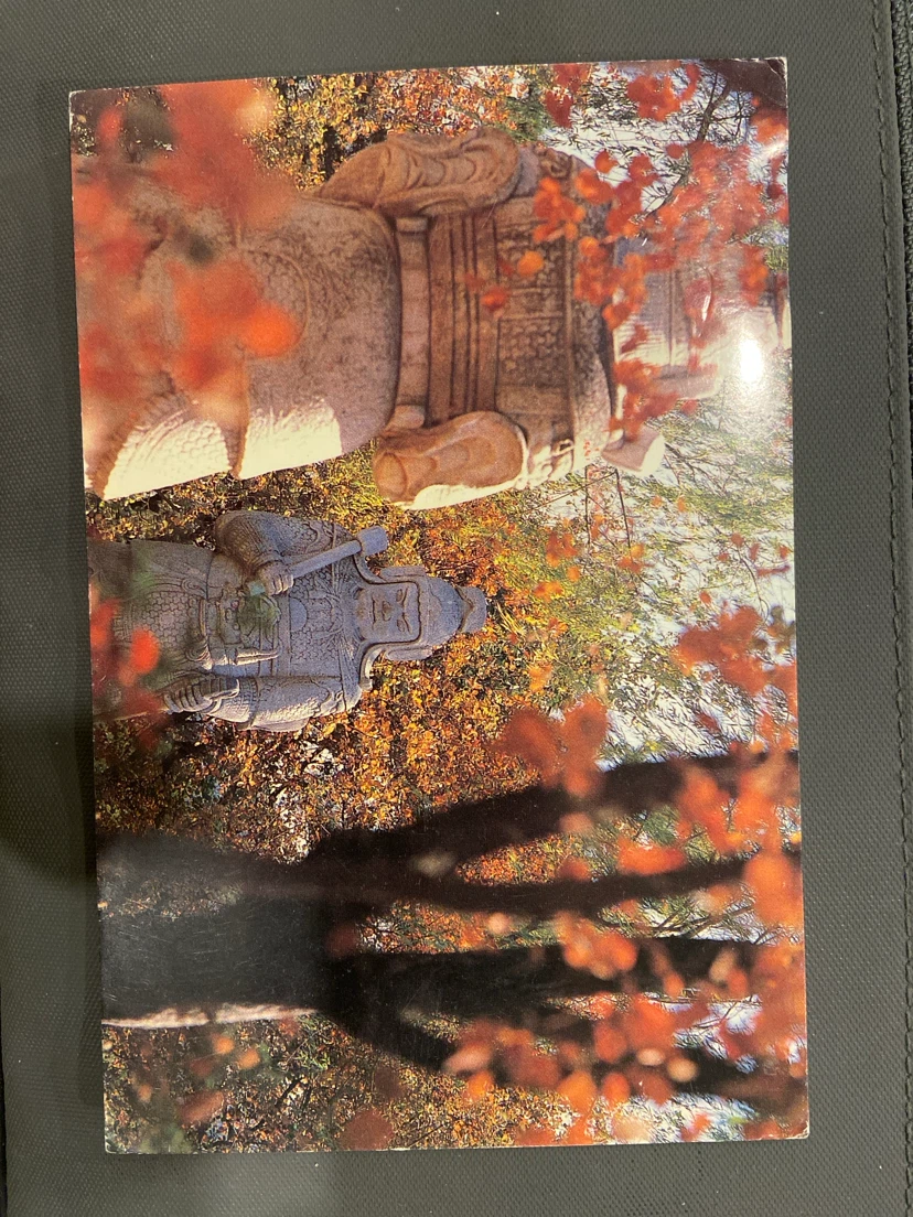 Vintage Postcard - Holland to Utrecht