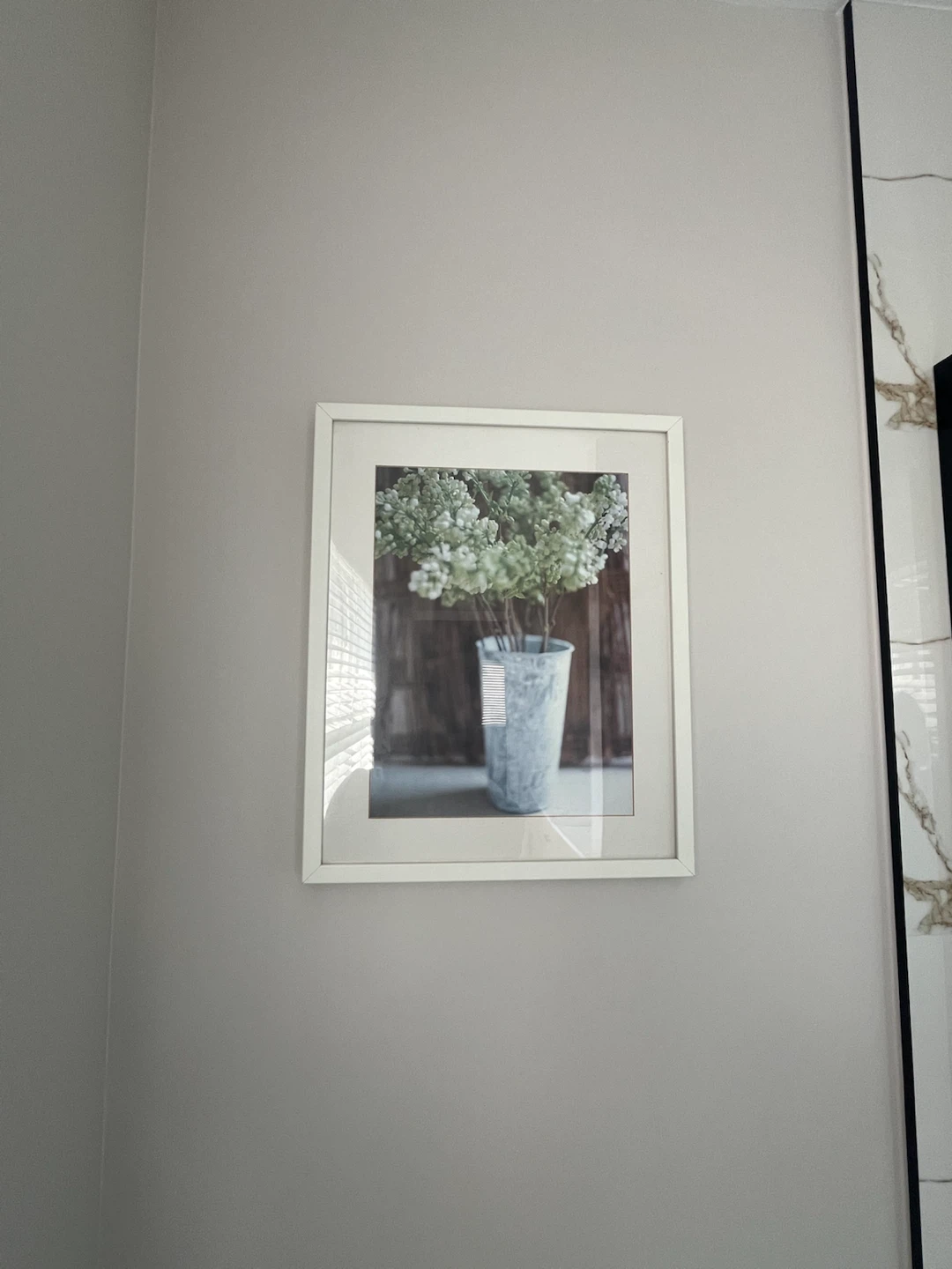 Framed Botanical Prints (Set of 2)