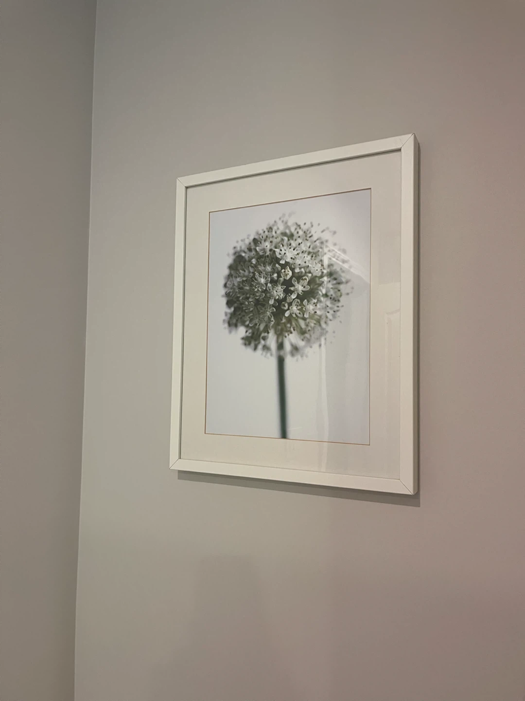 Framed Botanical Prints (Set of 2) - photo 2