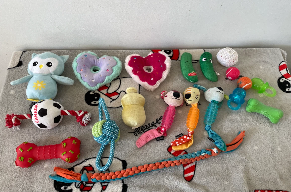 19pc XS/S Dog Toys Lot