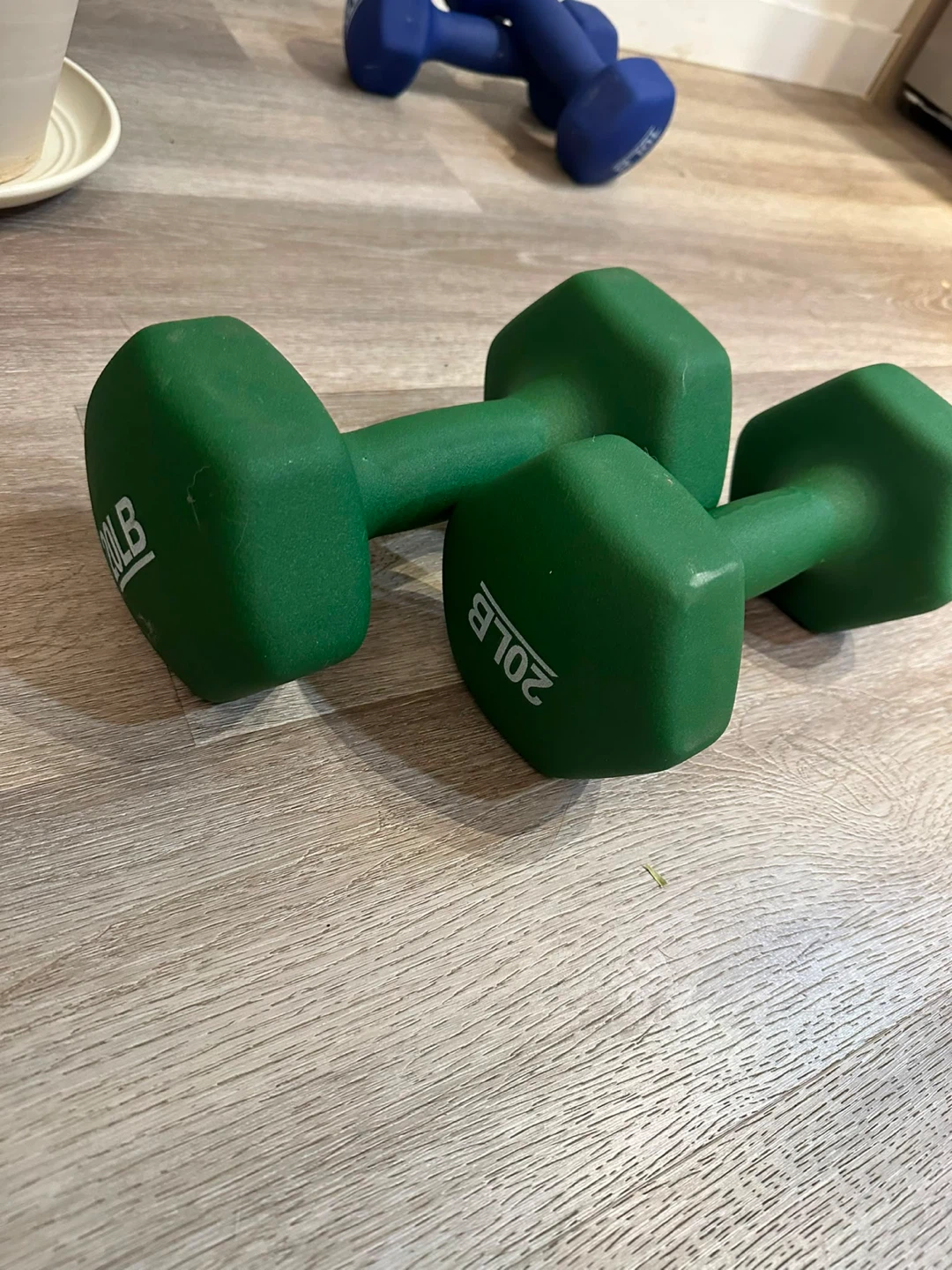 20 lb Dumbbell Pair (Green)