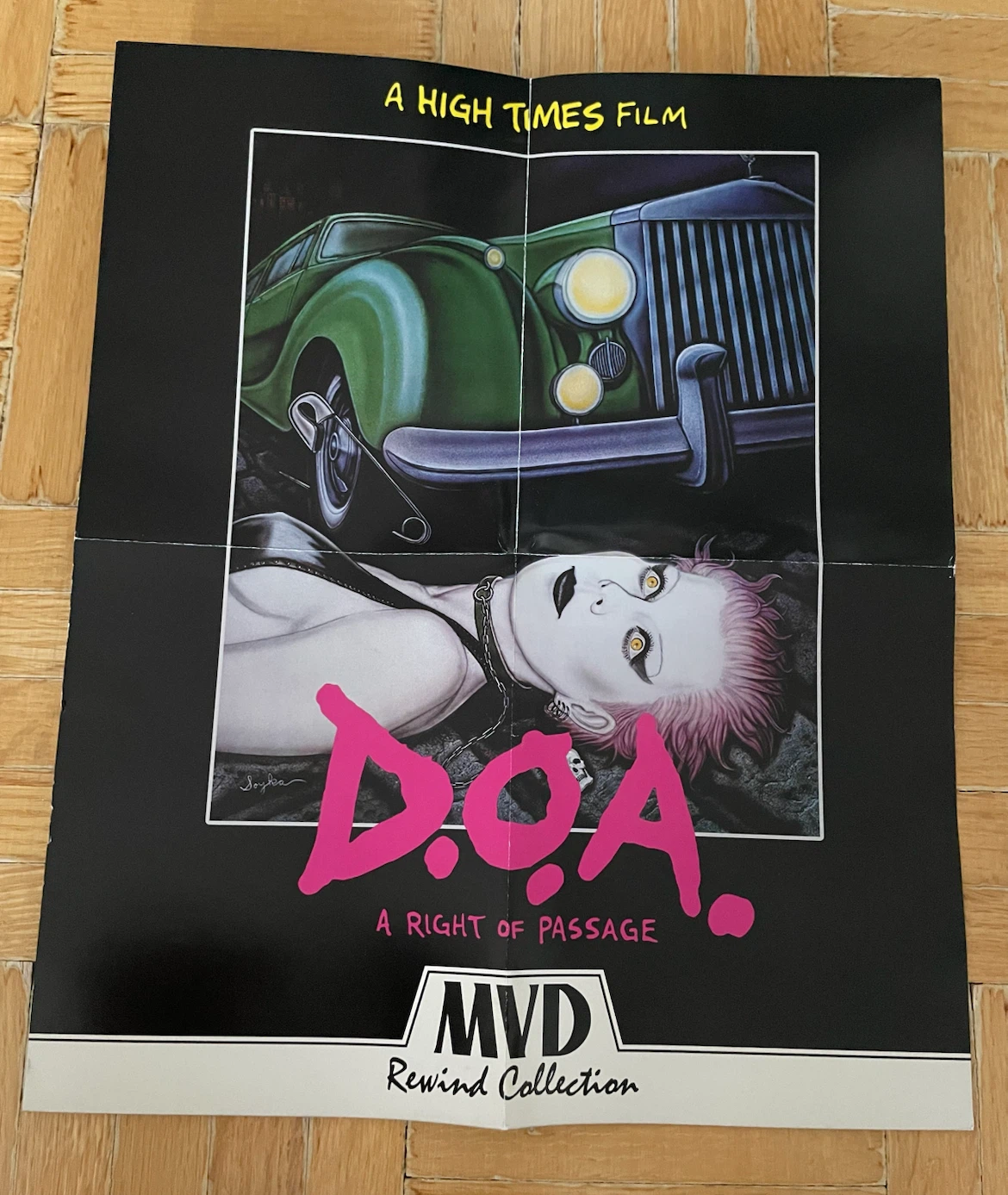 The Sex Pistols D.O.A. Punk Poster - photo 2