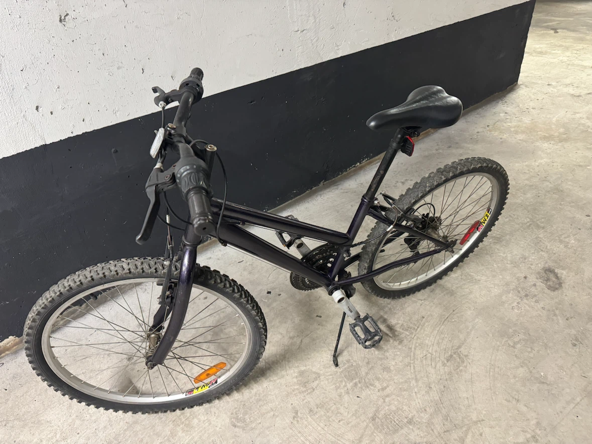 Dark Purple  Bike