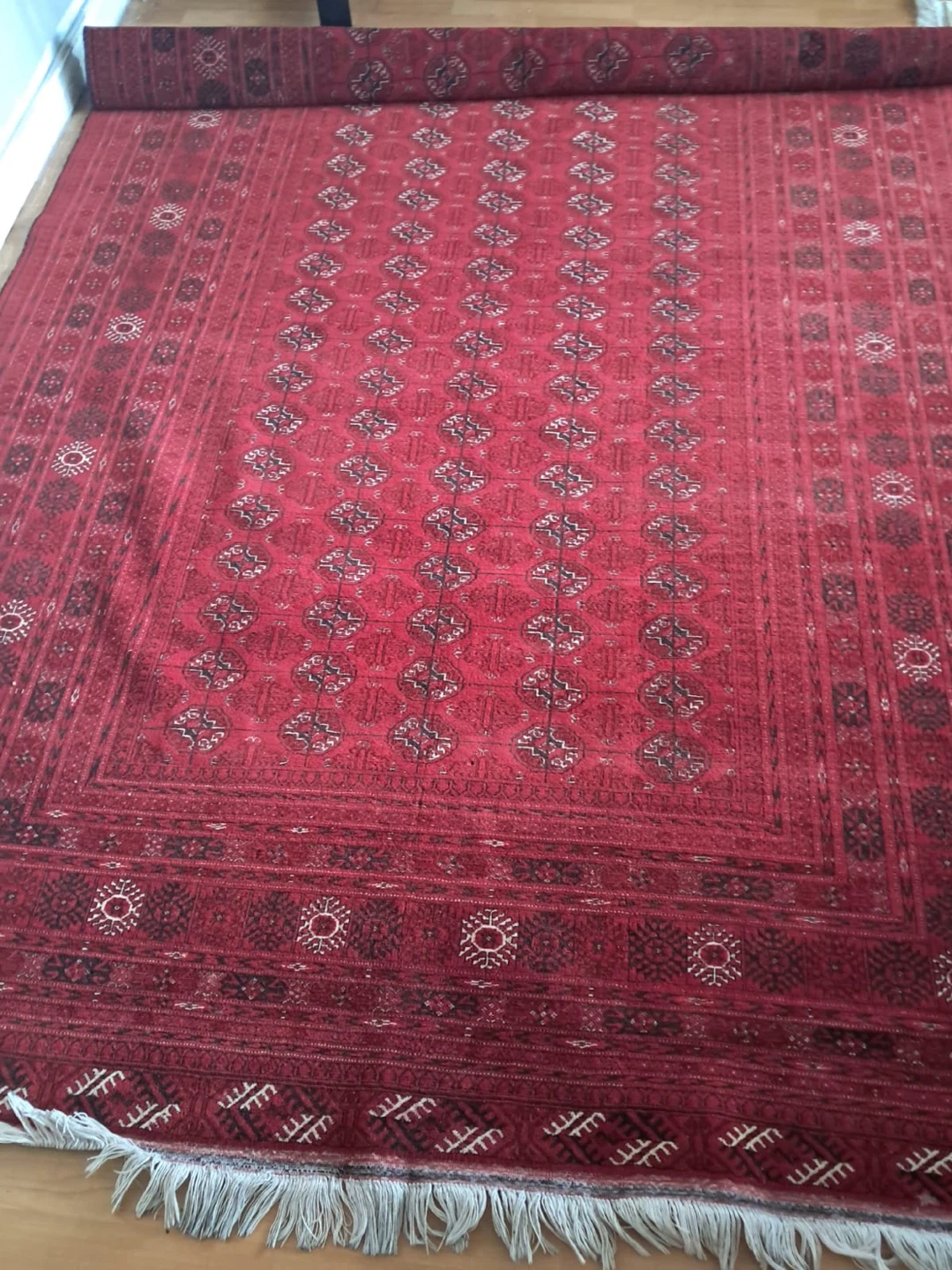 persian Red Oriental Area Rug