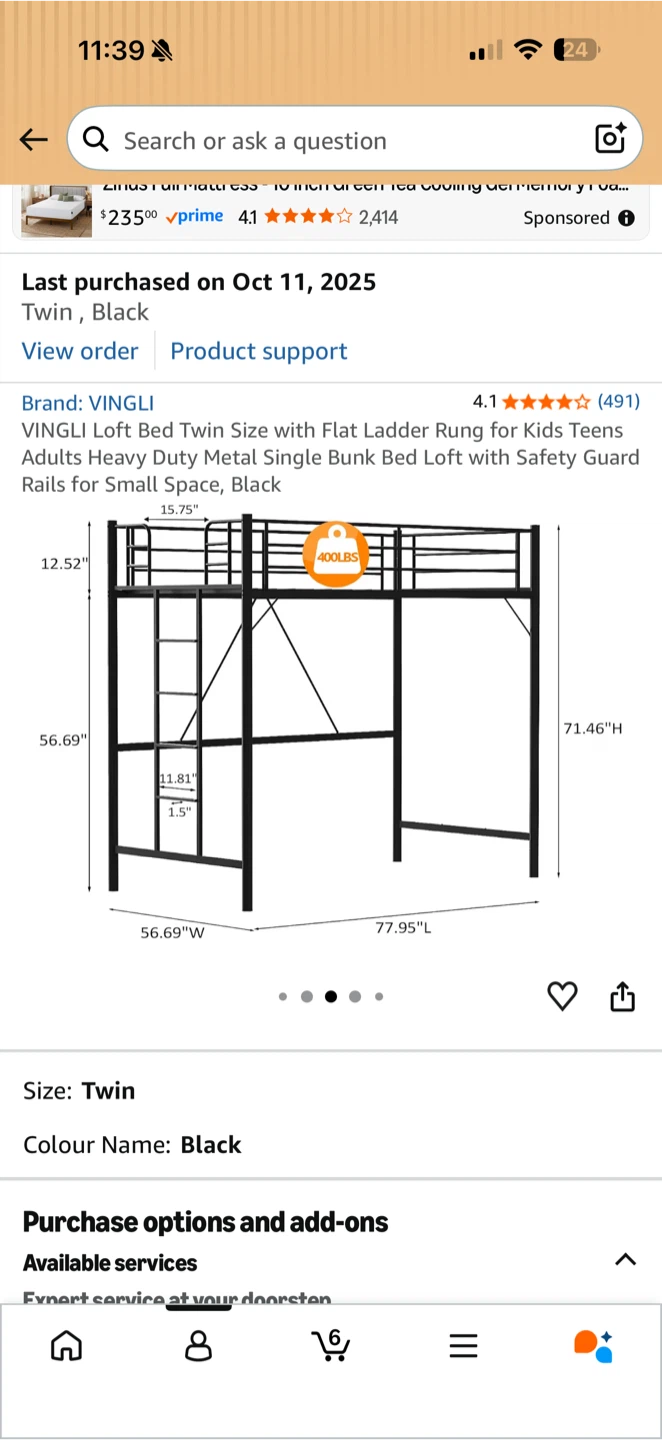 Loft Bed Twin Size Black Metal