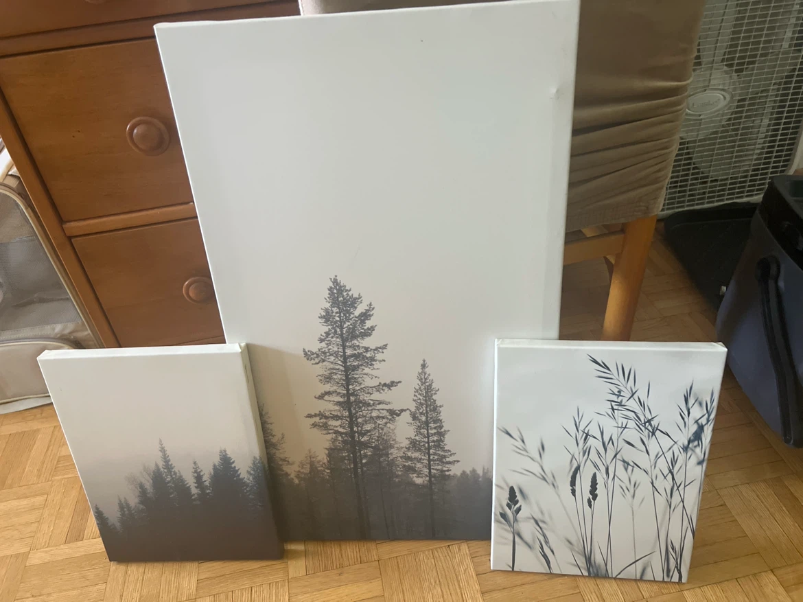 Set of 3 Canvas Wall Art Prints - Forest and Grassland Scenes