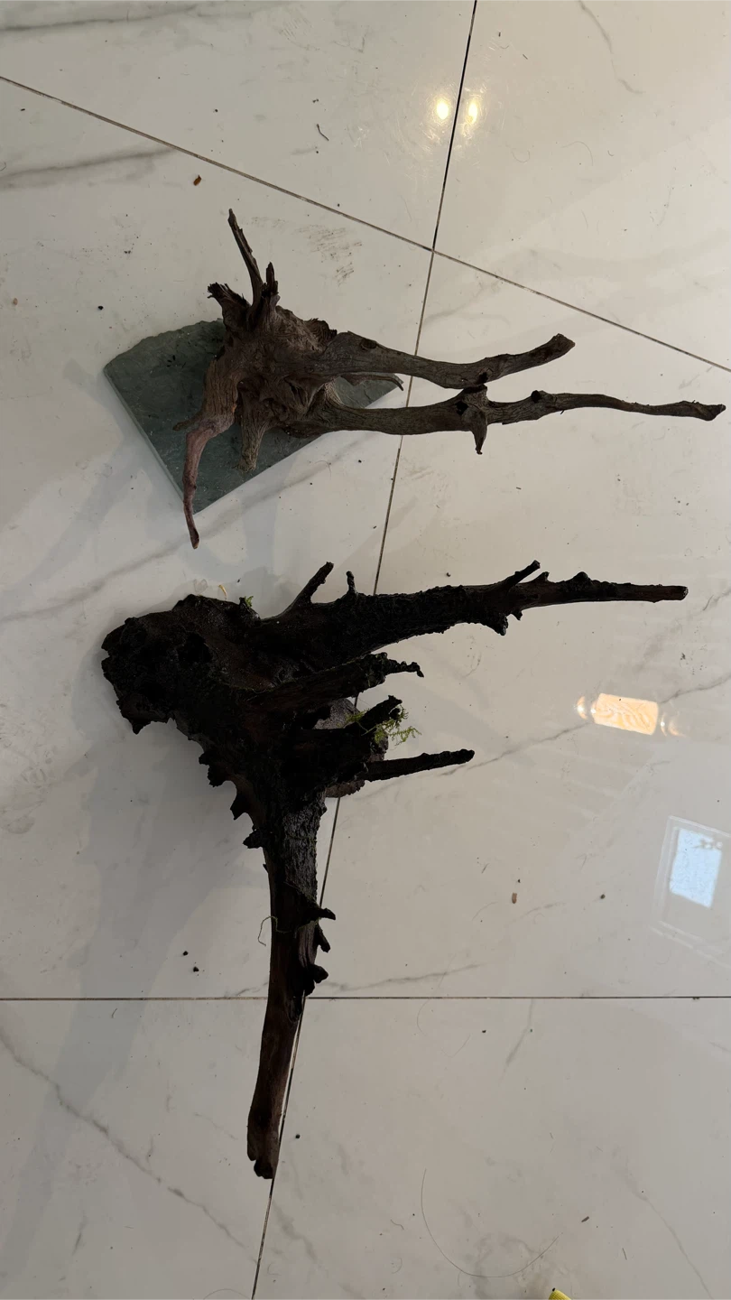 Natural Driftwood Pieces for Aquarium or Terrarium Decor