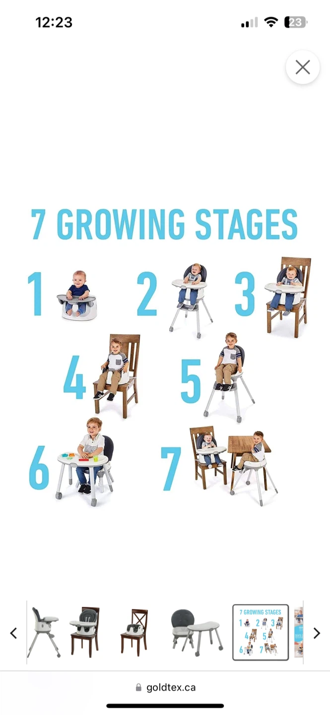 Graco Convertible High Chair - photo 3