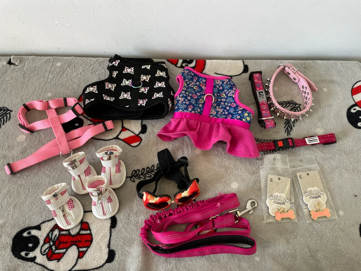 XS/S Dog Harnesses Etc Lot