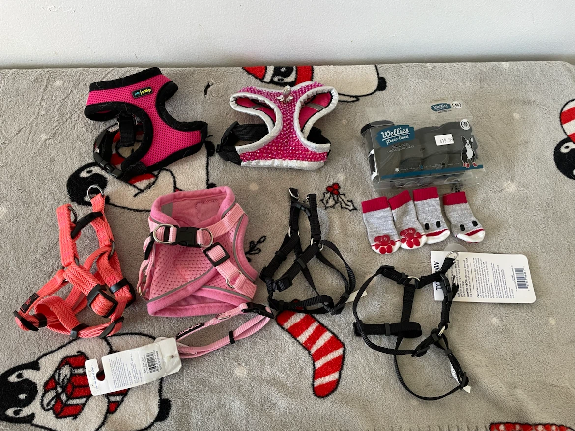 XXS Dog Harnesses Etc Lot