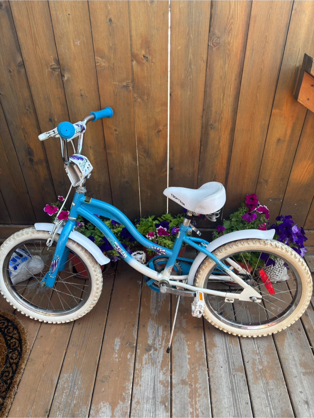 Blue Kids Bicycle