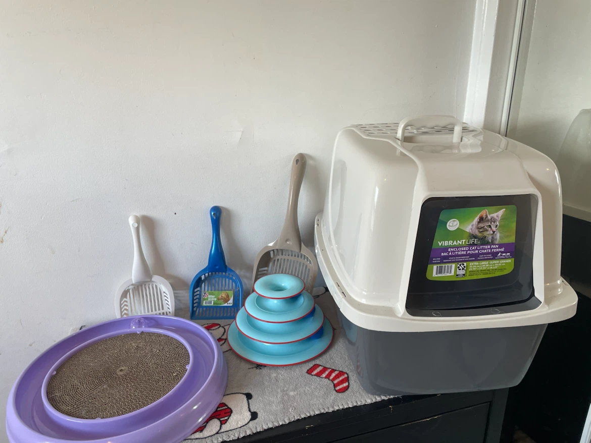 XL Hooded Cat LitterBox, Scoops & Ball Tracks