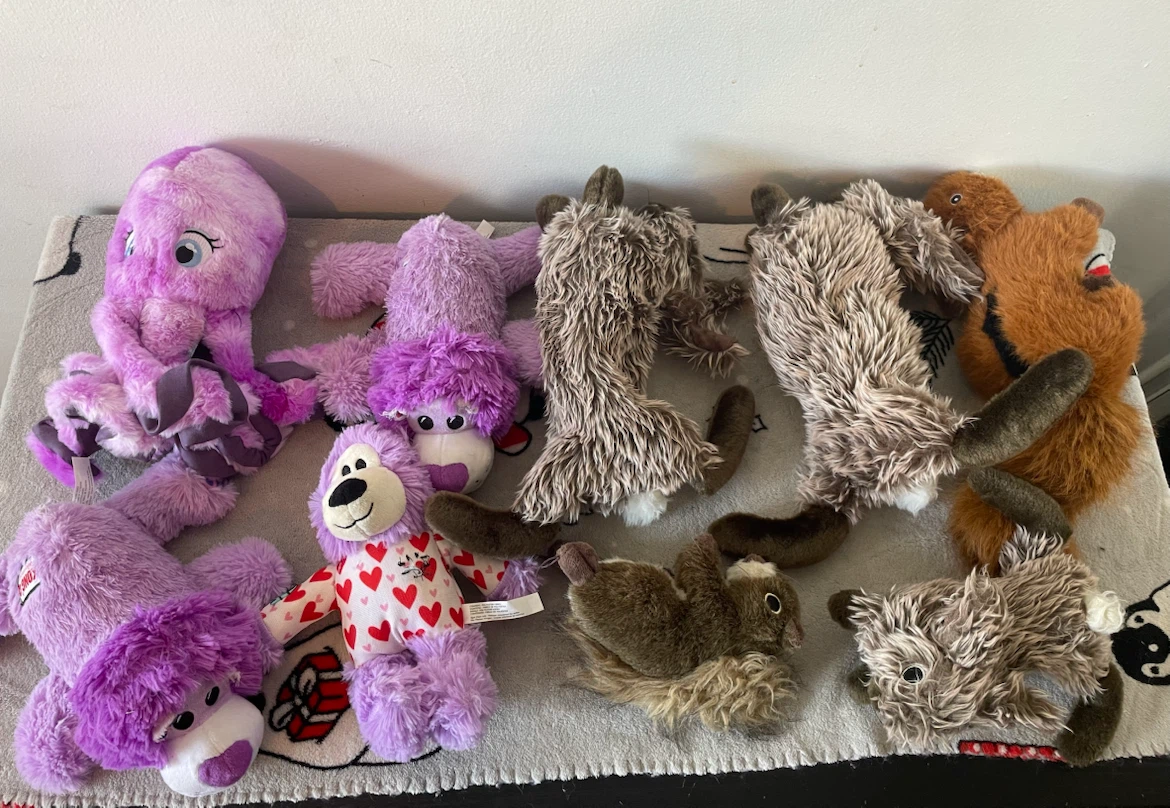 Kong & Joyhound Dog Toys Lot