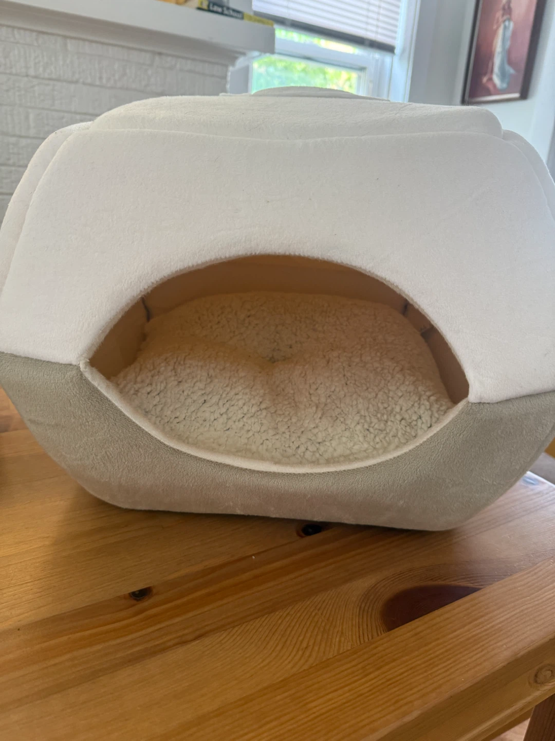 Cozy Covered Cat Bed + FREE Cat Food Bundle - photo 3