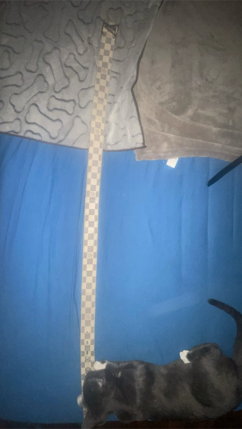 Louis Vuitton Damier Azur Belt - photo 3