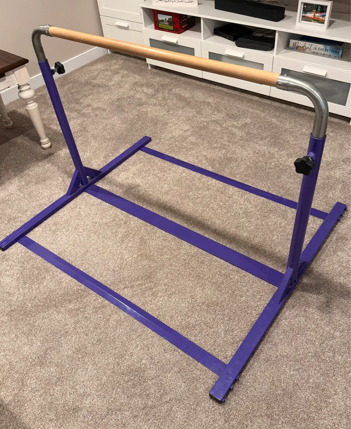 Tumbl Trak Jr. Kip Bar