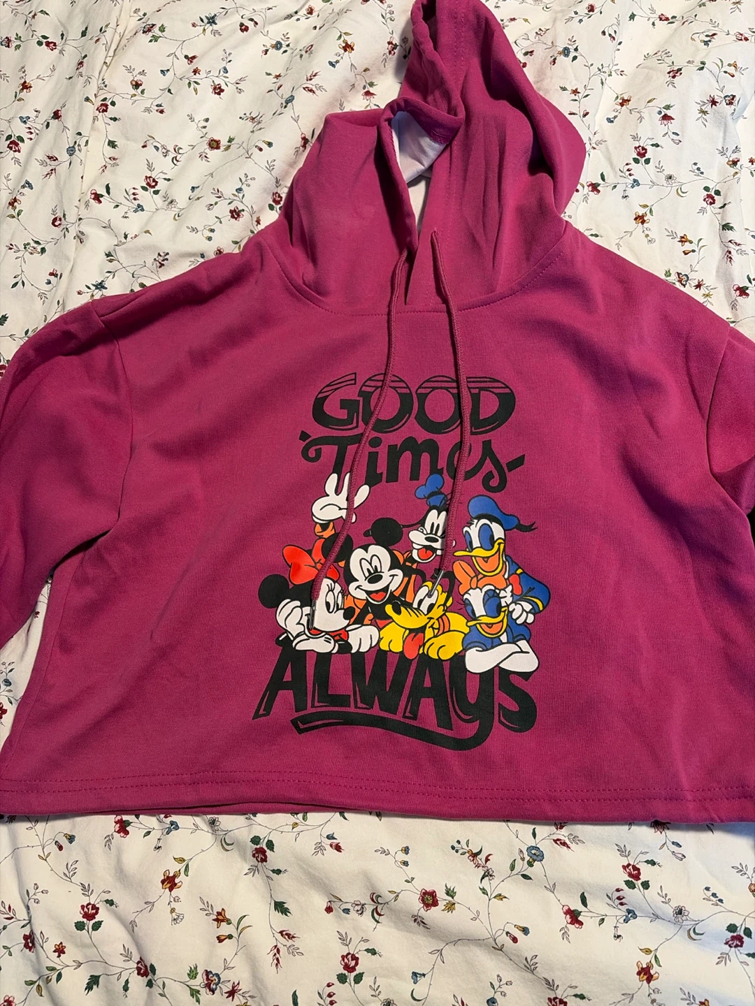 Cropped Disney Characters Hoodie