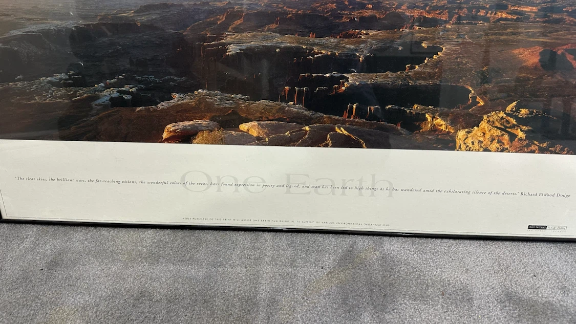 Canyonlands National Park, Utah Framed Print - photo 3