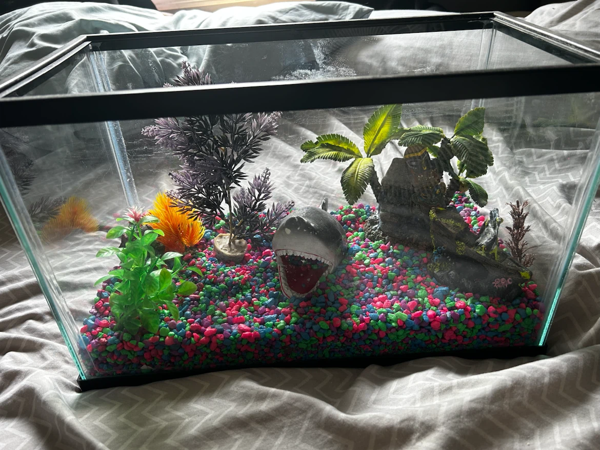 Aquarium Kit with Decorations and Light