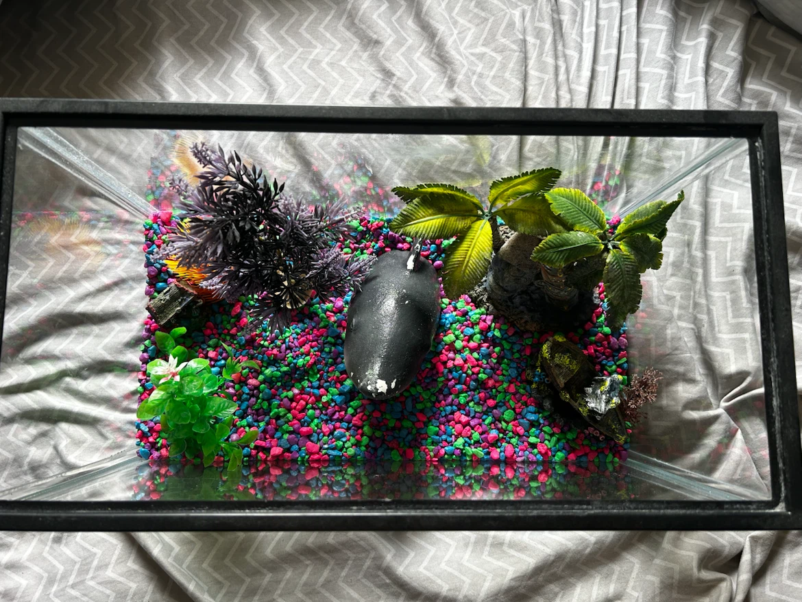 Aquarium Kit with Decorations and Light - photo 2