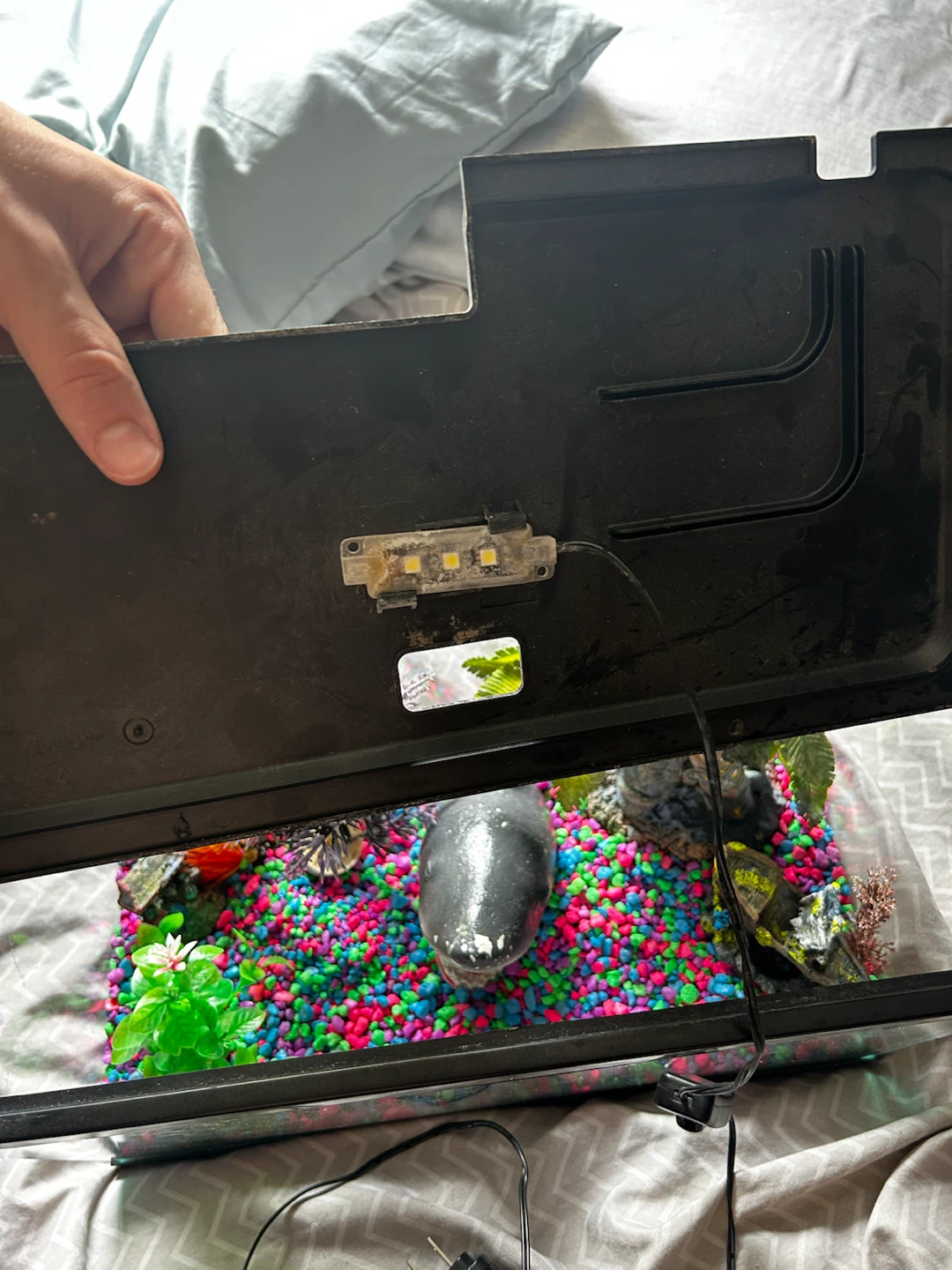 Aquarium Kit with Decorations and Light - photo 5