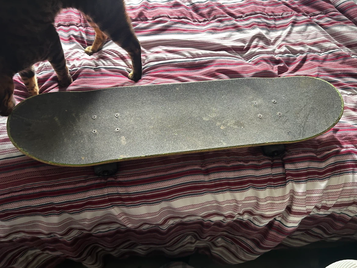 Baker Skateboards Complete Skateboard - photo 5