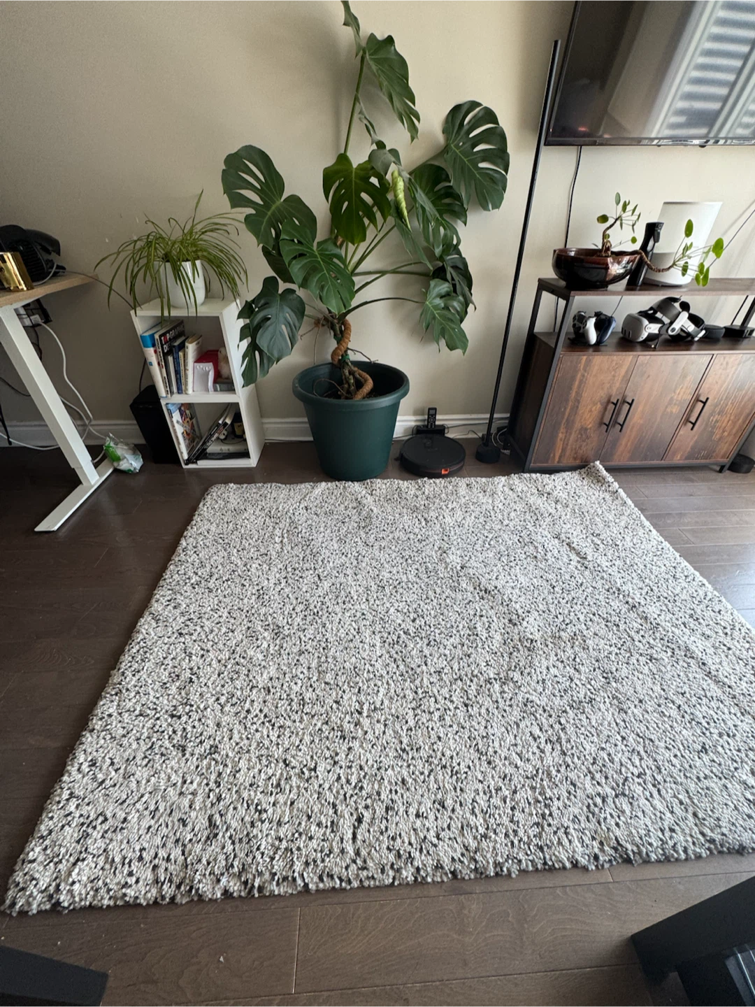 Shag Area Rug