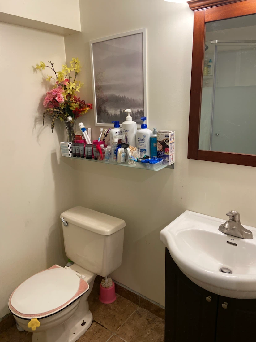 single bedroom to rent - photo 3
