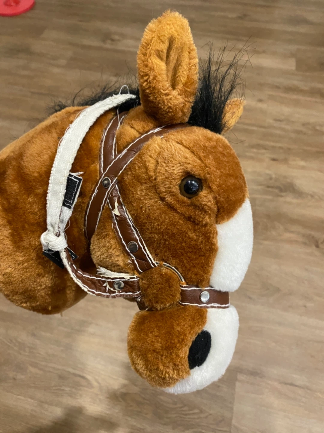 Hobby Horse Toy
