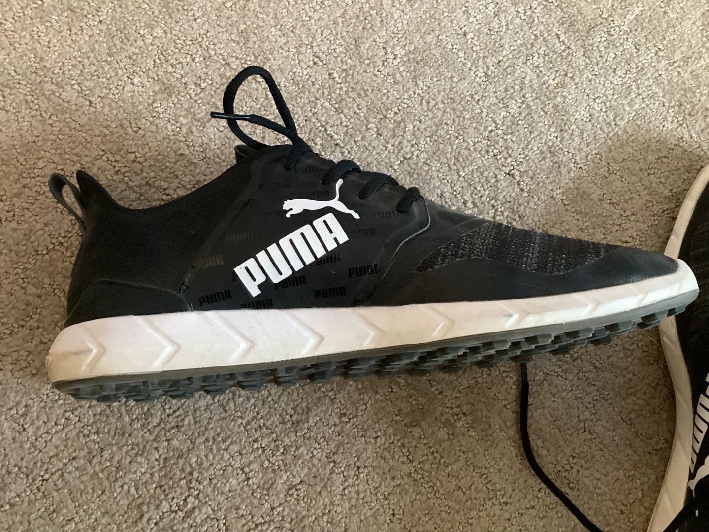 Puma golf shoes