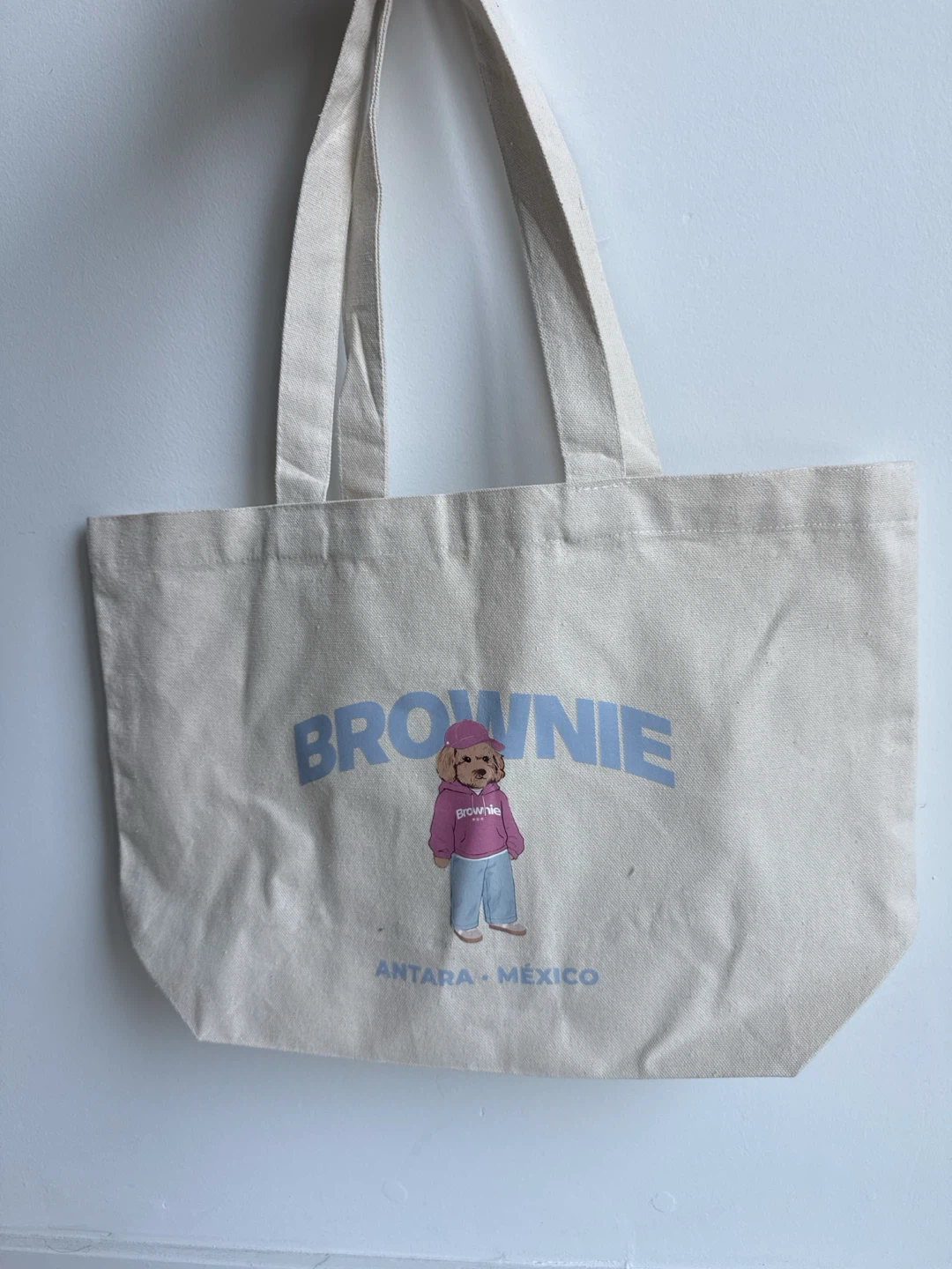 Brownie Canvas Tote Bag - Antara Mexico