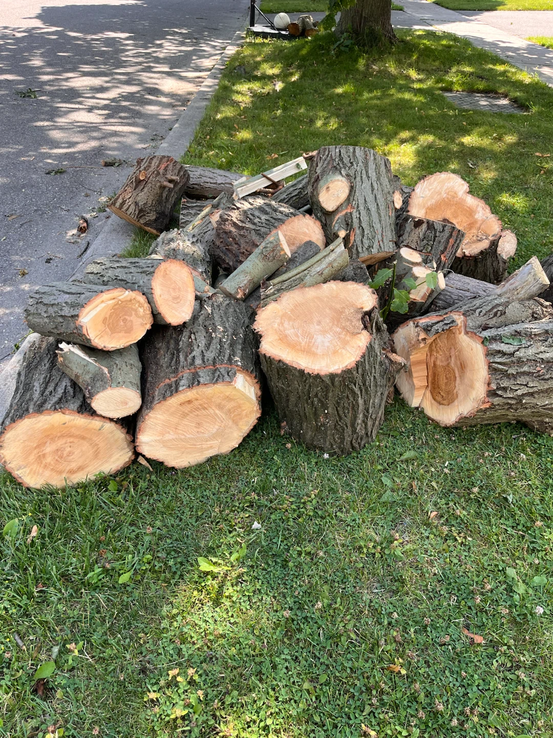 Free fire wood