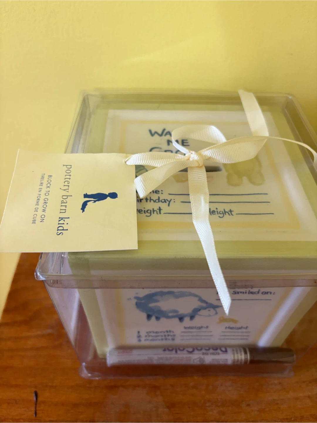 Pottery Barn Kids "Watch Me Grow" Baby Milestone Box