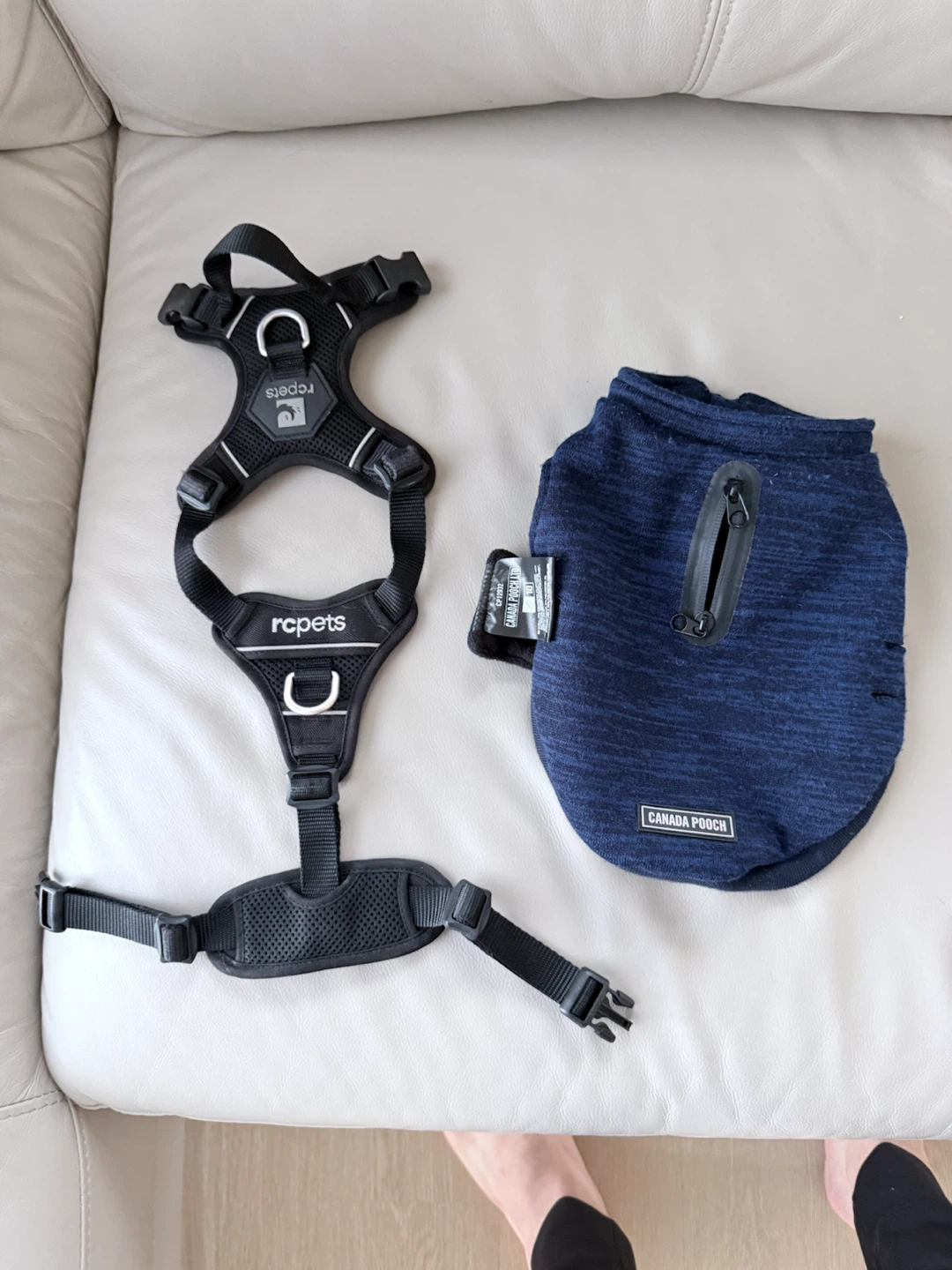 Small (size 10) Canada Pooch dog harness and RC small harness