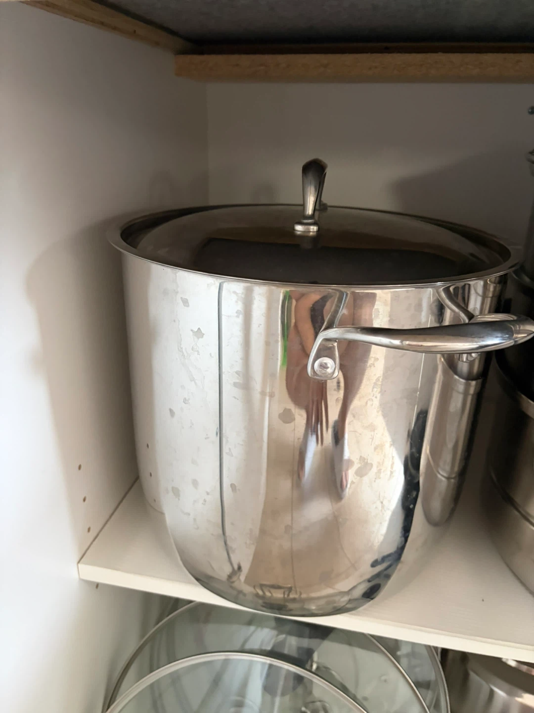 Stainless Steel Stock Pot with Lid