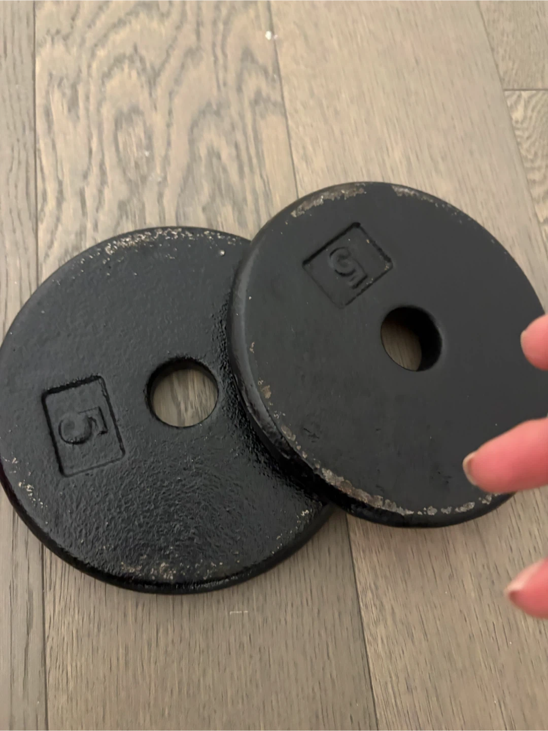 Two 5lb Weight Plates