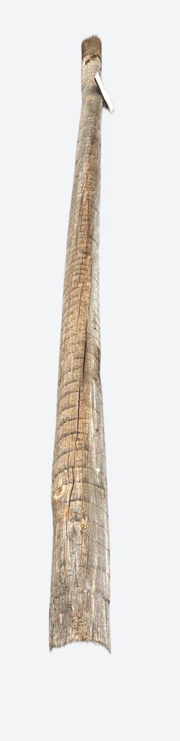 Power pole or light pole