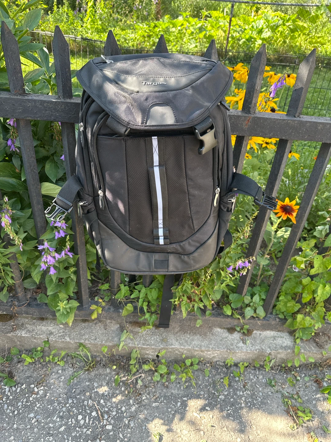 Targus Black Backpack