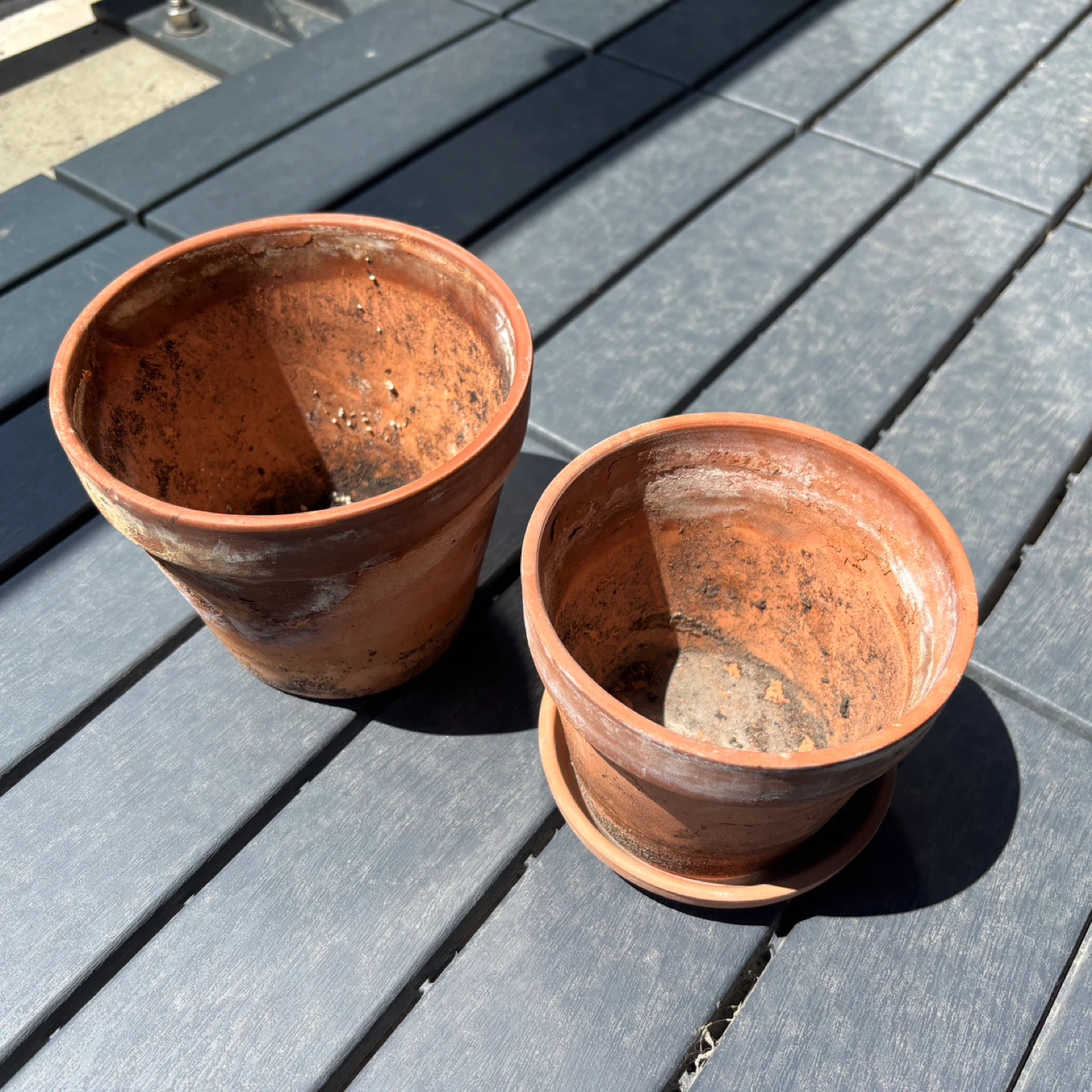 Free Clay and plastic plant pots