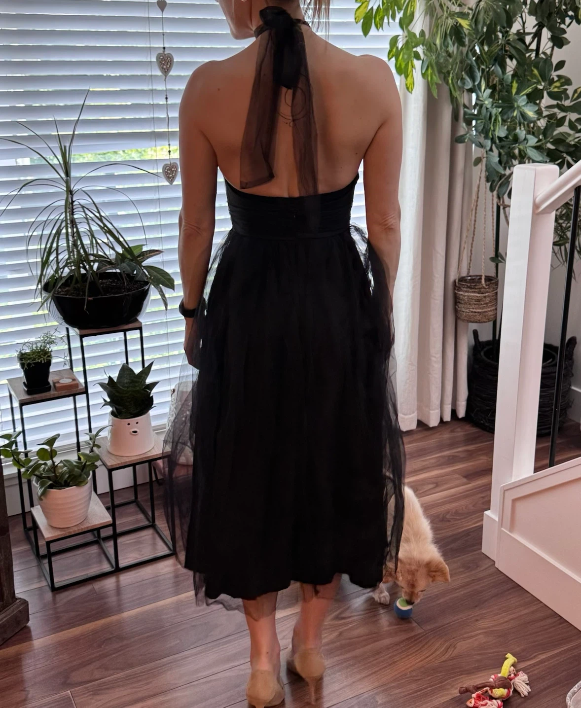 Livia Boutique Black Tulle Halter Dress - photo 2