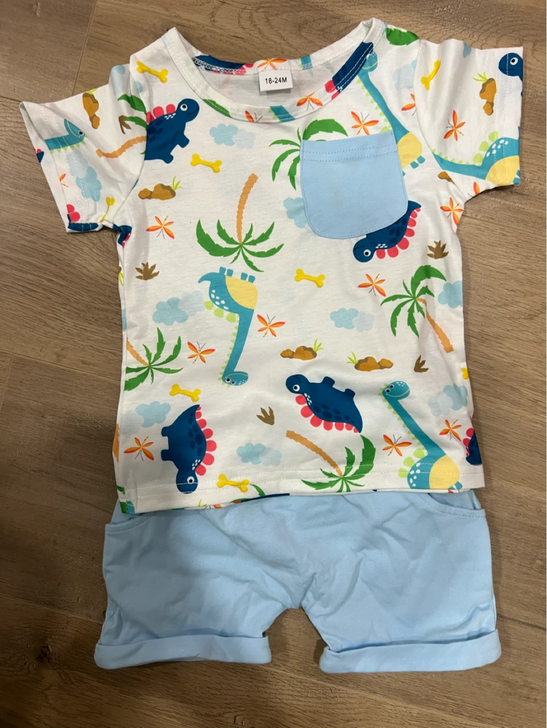 Baby Dinosaur T-Shirt and Shorts Set 18-24M