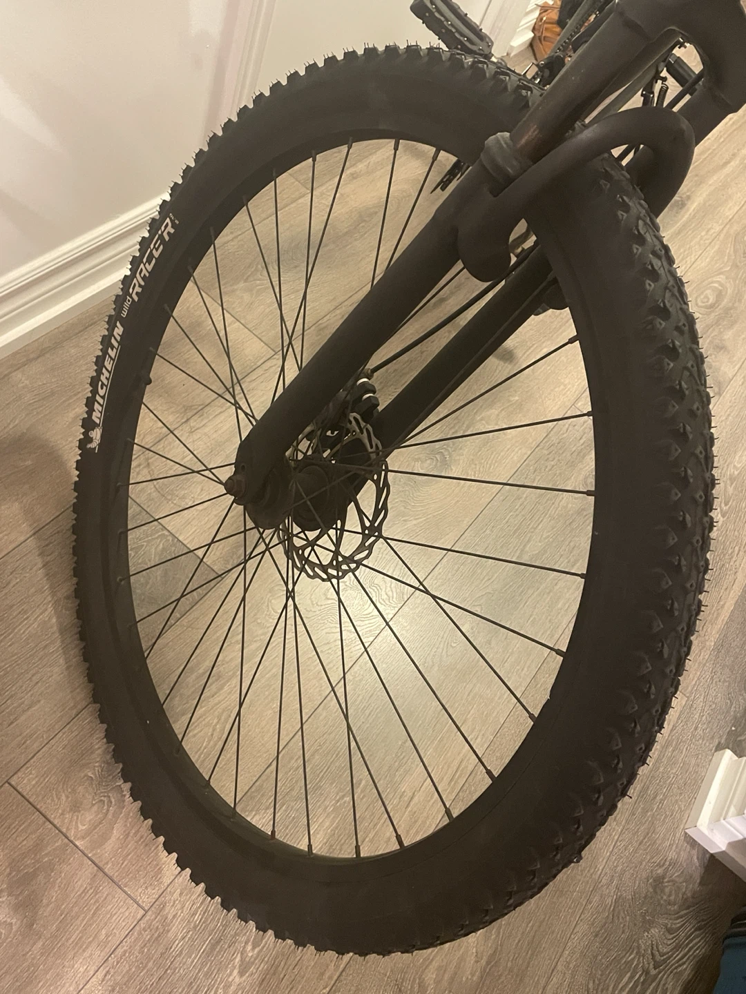 🏡 Moving Out Sale – 29" Mountain Bike + Accessories 🚲 - photo 3
