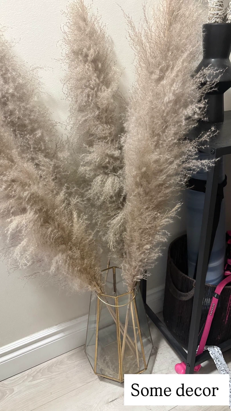 Pampas Grass and Vase