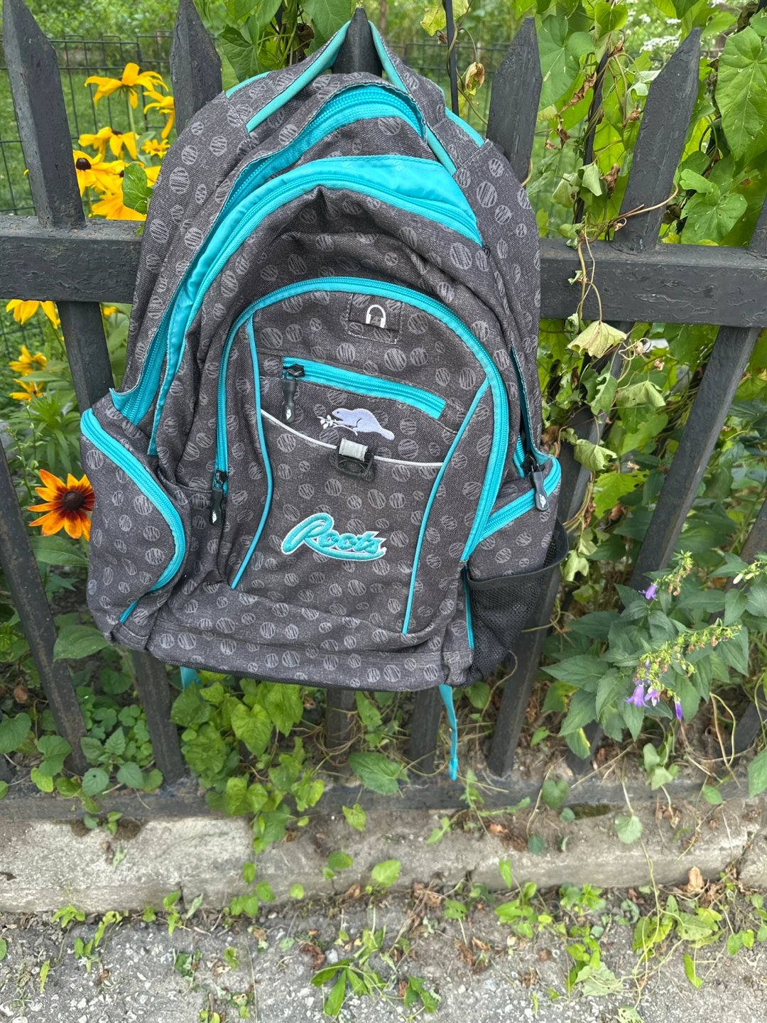 Roots Backpack